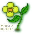 MACJR'S I'm Sorry Flower