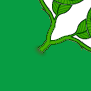 A MACJR.COM Vine tile