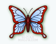 The American Tear butterfly