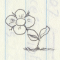 The Original I'm Sorry flower