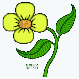 An early version of the I'm Sorry flower